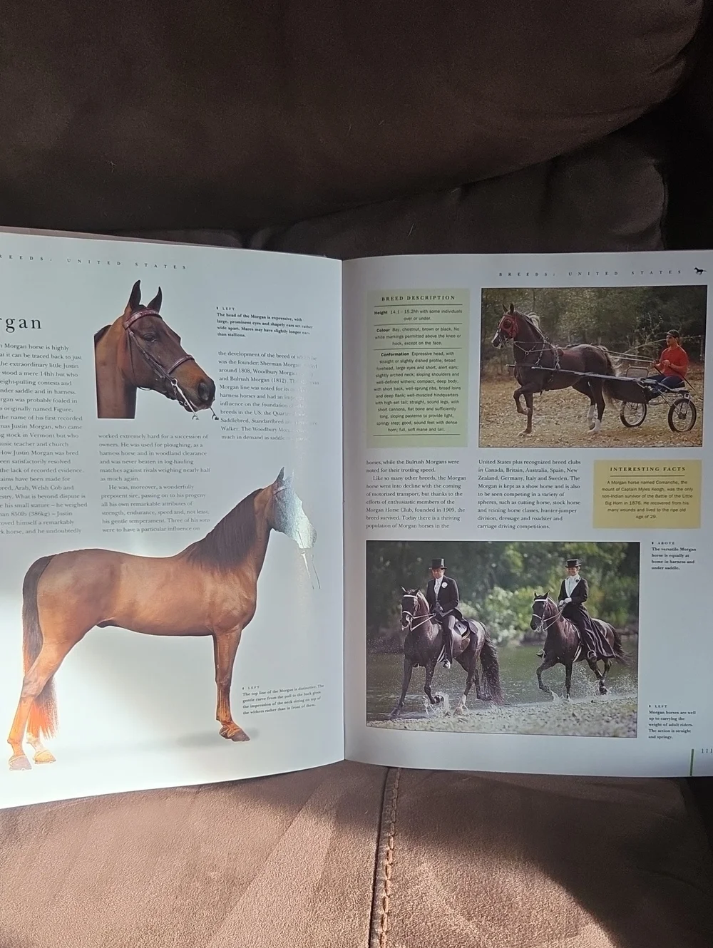 ultimate encyclopedia ultimate encyclopedia